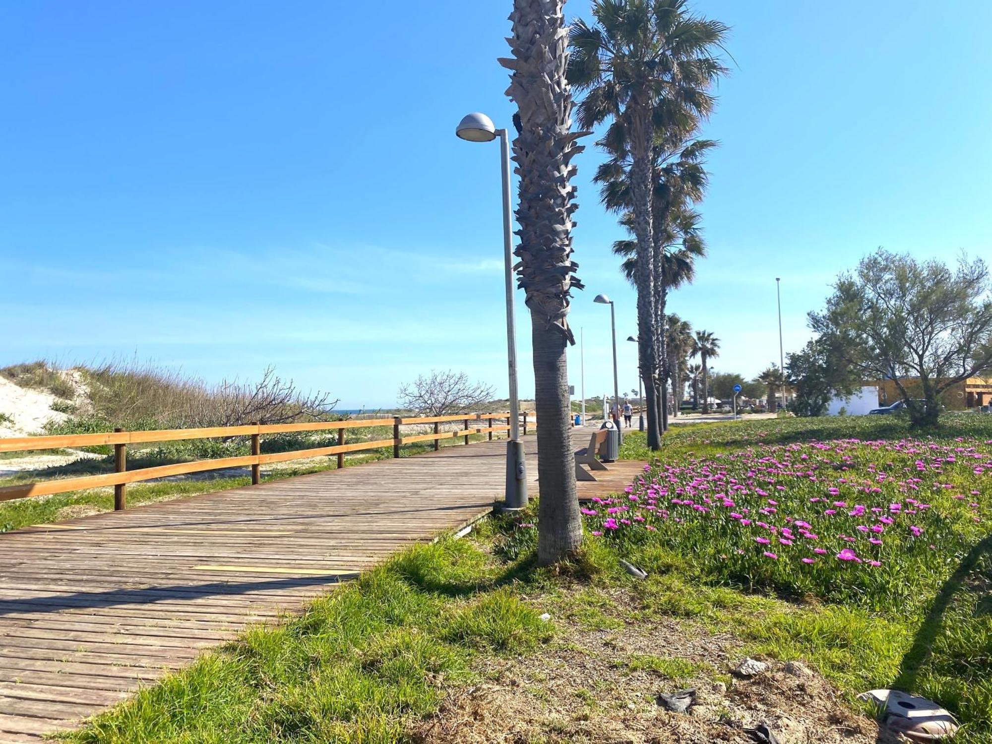 Precioso Apartamento A Tan Solo 300 M De La Playa Pilar de la Horadada Zewnętrze zdjęcie